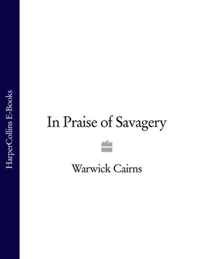 Warwick Cairns In Praise of Savagery обложка книги