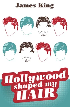 James King HOLLYWOOD SHAPED MY HAIR обложка книги