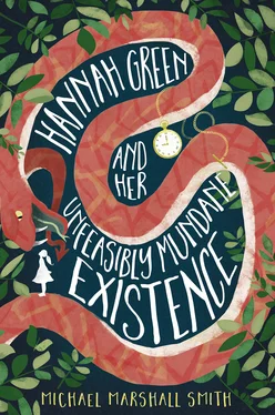 Michael Smith Hannah Green and Her Unfeasibly Mundane Existence обложка книги