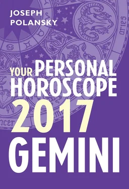 Joseph Polansky Gemini 2017: Your Personal Horoscope обложка книги