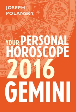 Joseph Polansky Gemini 2016: Your Personal Horoscope обложка книги