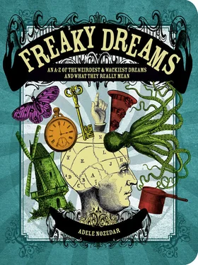 Adele Nozedar Freaky Dreams обложка книги