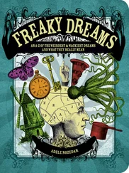 Adele Nozedar - Freaky Dreams