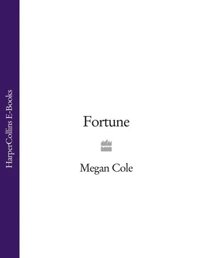 Megan Cole Fortune: The Original Snogbuster обложка книги