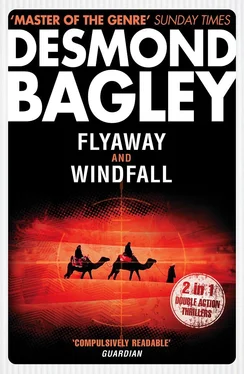 Desmond Bagley Flyaway / Windfall обложка книги