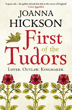 Joanna Hickson First of the Tudors обложка книги