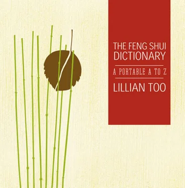 Lillian Too Feng Shui Dictionary