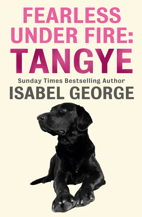 Fearless Under Fire Tangye A Short Tale from BEYOND THE CALL OF DUTY - фото 1