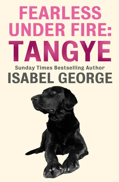 Isabel George Fearless Under Fire: Tangye обложка книги