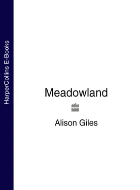 Alison Giles Meadowland обложка книги