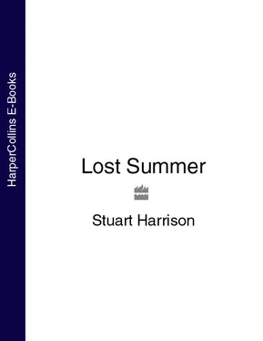 Stuart Harrison Lost Summer обложка книги