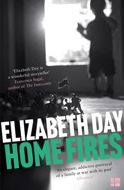 Elizabeth Day Home Fires обложка книги