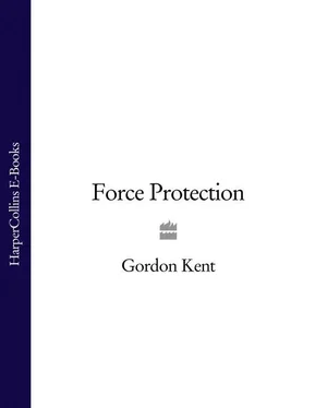 Gordon Kent Force Protection обложка книги
