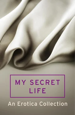 Various Various My Secret Life обложка книги