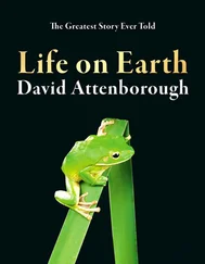 David Attenborough - Life on Earth
