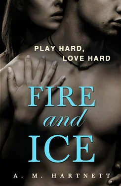 AM Hartnett Fire And Ice обложка книги