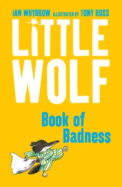Ian Whybrow Little Wolf’s Book of Badness обложка книги