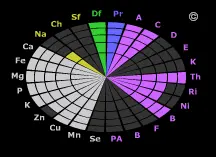 Укроп зелень сушеная Укропное семя Фенхель семя - фото 30