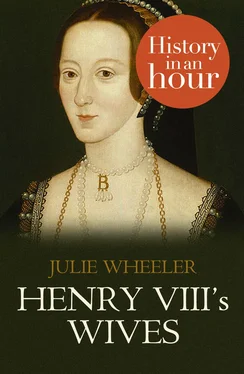 Julie Wheeler Henry VIII’s Wives: History in an Hour обложка книги