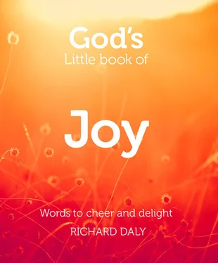 Richard Daly God’s Little Book of Joy обложка книги