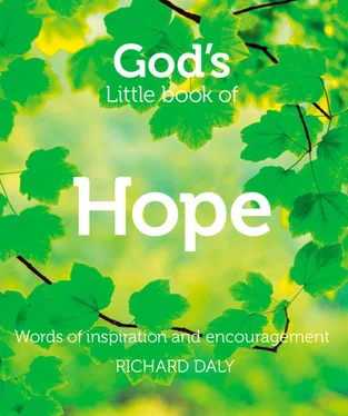 Richard Daly God’s Little Book of Hope обложка книги