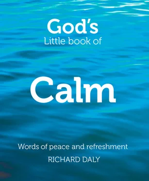 Richard Daly God’s Little Book of Calm обложка книги