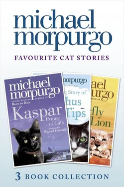 Michael Morpurgo Favourite Cat Stories: The Amazing Story of Adolphus Tips, Kaspar and The Butterfly Lion