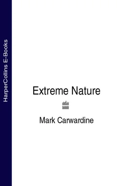 Mark Carwardine Extreme Nature обложка книги