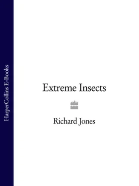 Richard Jones Extreme Insects обложка книги