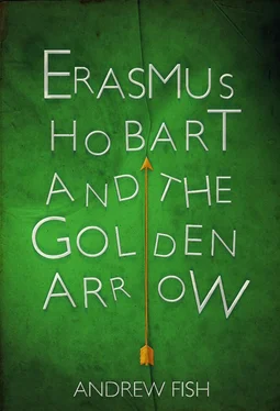 Andrew Fish Erasmus Hobart and the Golden Arrow обложка книги