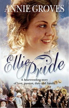 Annie Groves Ellie Pride обложка книги