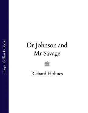 Richard Holmes Dr Johnson and Mr Savage