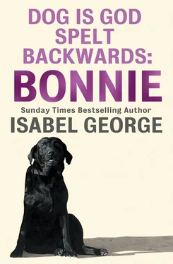 Isabel George DOG Is GOD Spelt Backwards: Bonnie обложка книги