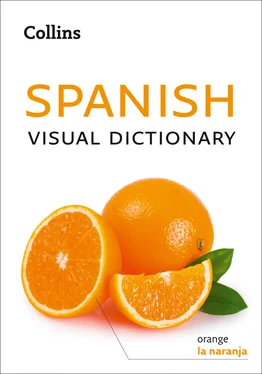 Collins Dictionaries Collins Spanish Visual Dictionary обложка книги