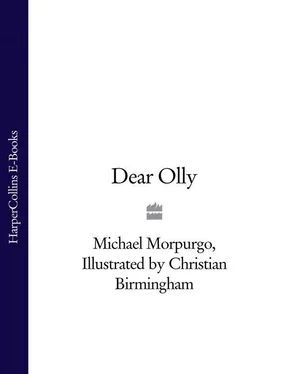 Michael Morpurgo Dear Olly обложка книги