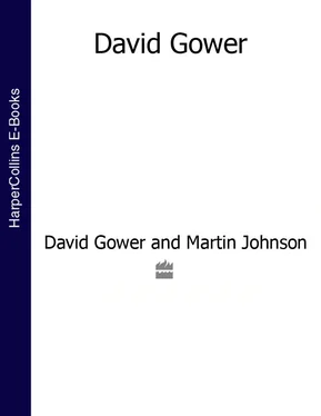 David Gower David Gower (Text Only) обложка книги