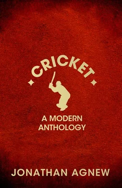 Jonathan Agnew Cricket: A Modern Anthology обложка книги