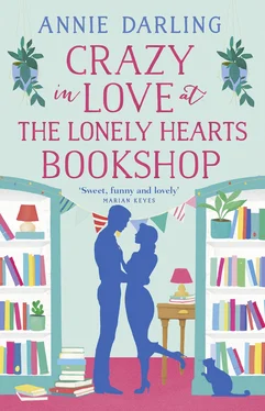 Annie Darling Crazy in Love at the Lonely Hearts Bookshop обложка книги