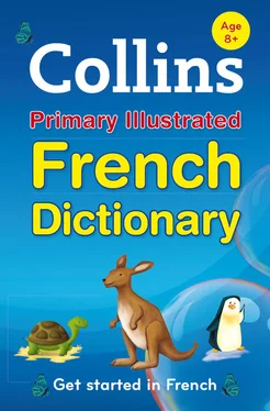 Collins Dictionaries Collins Primary Illustrated French Dictionary обложка книги