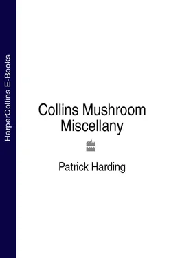 Patrick Harding Collins Mushroom Miscellany обложка книги