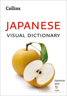 Collins Dictionaries Collins Japanese Visual Dictionary обложка книги