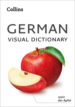 Collins Dictionaries Collins German Visual Dictionary обложка книги