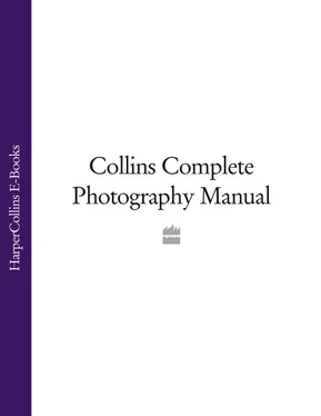 Collins Dictionaries Collins Complete Photography Manual обложка книги