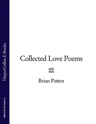 Brian Patten - Collected Love Poems