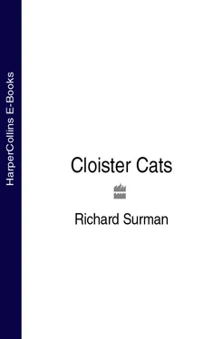 Richard Surman Cloister Cats обложка книги