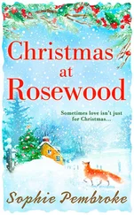 Sophie Pembroke - Christmas at Rosewood