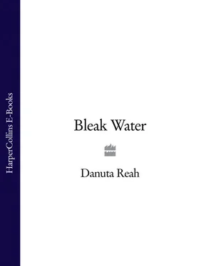 Danuta Reah Bleak Water обложка книги
