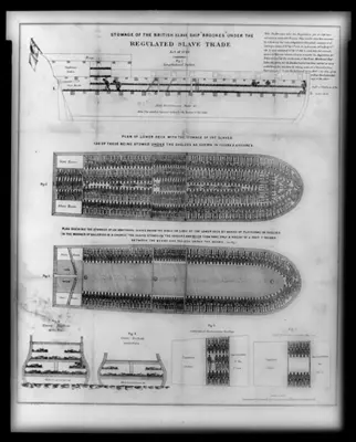 Contemporary poster illustrating the layout of a slave ship The traders sailed - фото 2