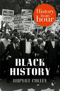 Rupert Colley Black History: History in an Hour обложка книги
