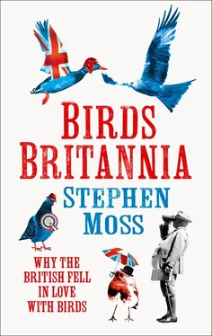 Stephen Moss Birds Britannia обложка книги